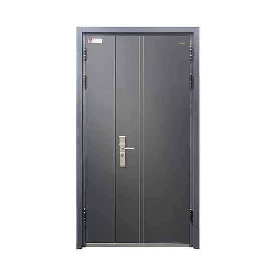 New Modern 70mm Design Hot Sale Metal Other Front Entry Door Exterior Steel Security Entrance Doors for Houses