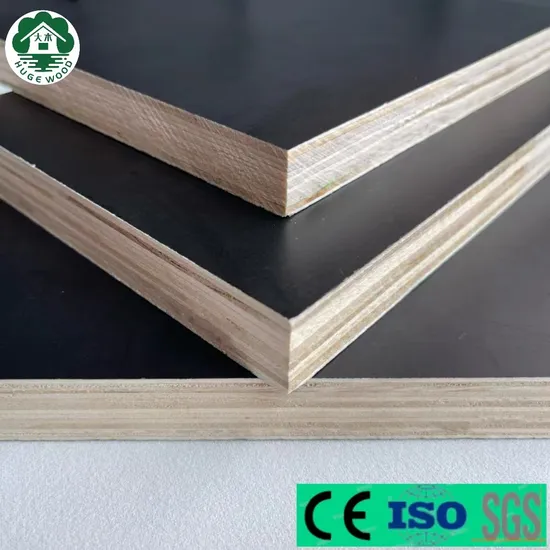 Waterproof Film Faced Plywood Shuttering Plywood Formply for Construction