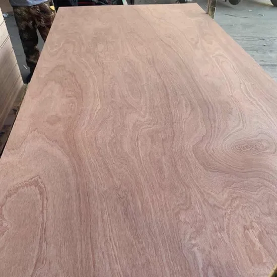 Okoume/Bintangore/Birch/Pine Face&Back Poplar Paulownia Hardwood Core Commercial/Furniture/Marine/Construction/Packing Plywood 1220X2440X3/6/9/12/15/18/21mm