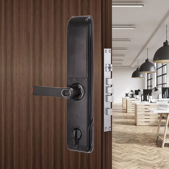 Fingerprint/Password/Key/Card for Home/Hotel/Apartment Smart Lock Fingerprint Door Lock