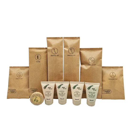 Custom Disposable Tooth Brush Supplies Set Hotel Amenity Toiletries