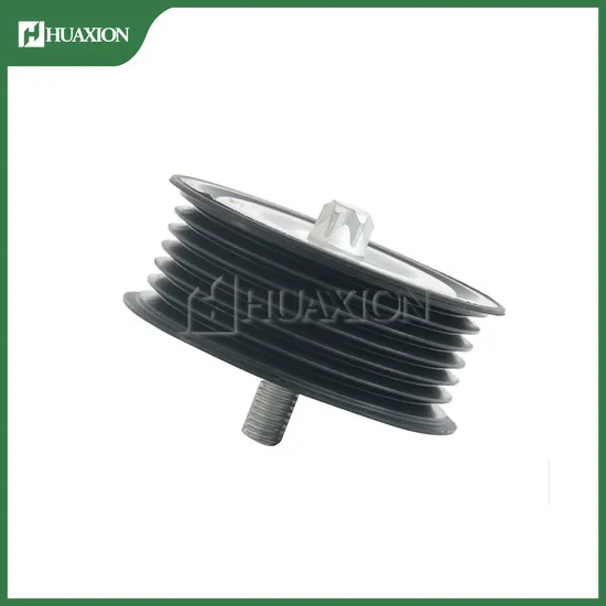 HS1675 Heavy Duty Sinotruk Truck Engine Part 202V95800-6098 Mc11/Mc13 Auto Ldler Pulley