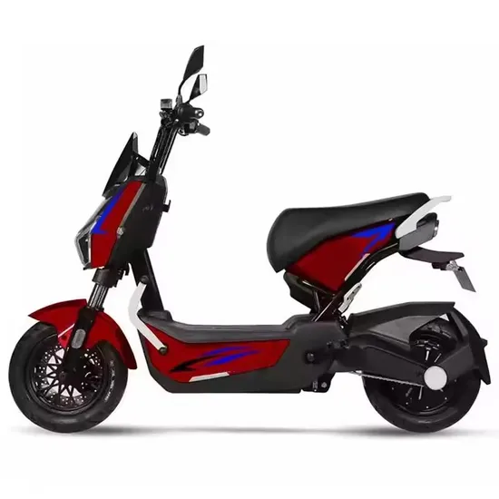 Adult 1000W Electric Motorcycle 60V 20ah Battery Electric Bicycle for Adult