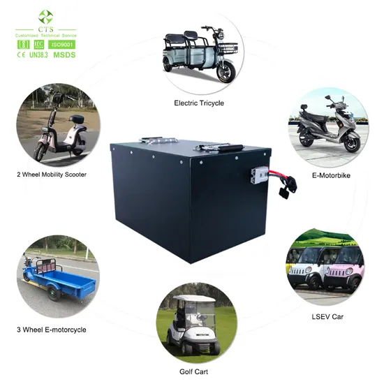 Cts Customized 48V60V72V 100ah 150ah 200ah LFP Battery with IP67 Waterproof Level Housing