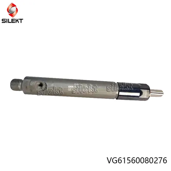 Fuel Injector Vg1560080276 61560080276 Weichai Euro II Truck Engine Parts Diesel Fuel Injector Wd615 Str Egr Common Rail Nozzle Piunger