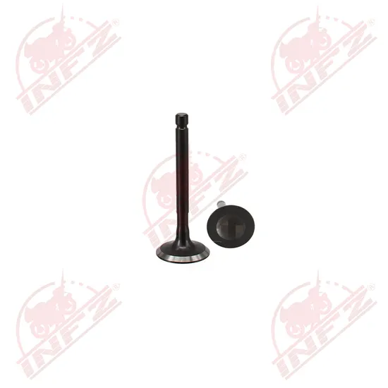 Infz Motorcycle Parts Supplier Dy150gy-6 High-Quality Motorcycle Engine Valve China Motorcycle Engine Intake Valve for YAMAHA-Ybr125