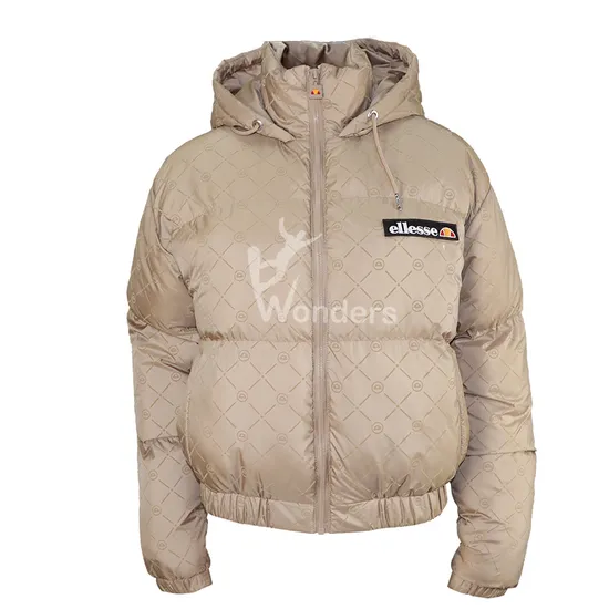 Women′s Clothing Wholesale Designer Replica Apparel-Accessories Puffer Jacket Apparel Accessories