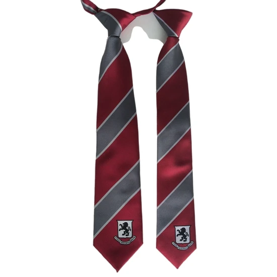 Woven Polyester Kid′s Logo Ties for Junior School Student