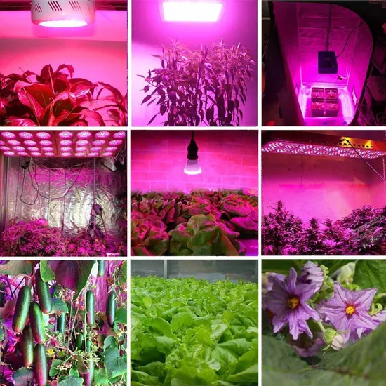 Custom 1000-1800W Professional LED Grow Lights