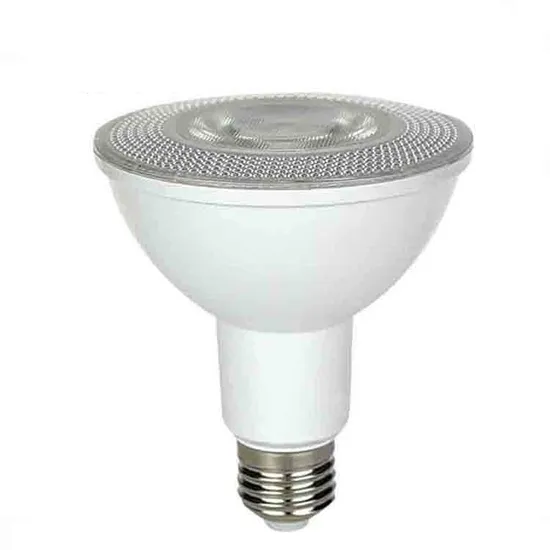 PAR20 PAR30 PAR38 LED Bulbs with COB Chip