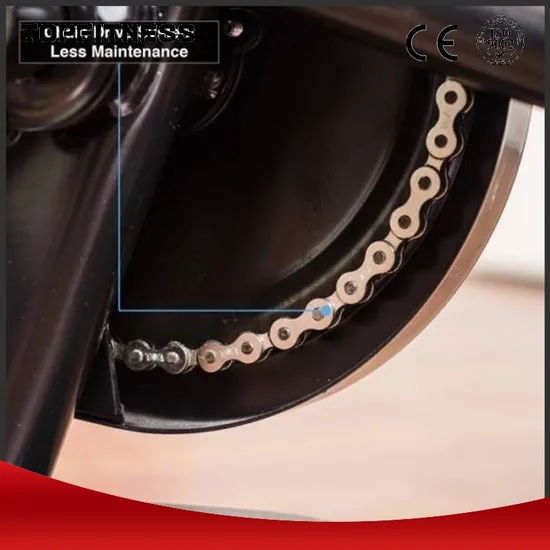 Premium Adjustable Indoor Spinning Bike with Magnetic Resistance