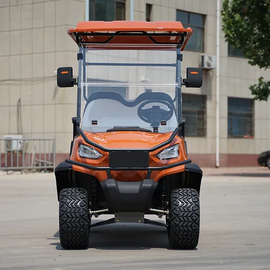 Brand-New Made in China High Quality 4-Seater Golf Cart Travel Electric Golf Car