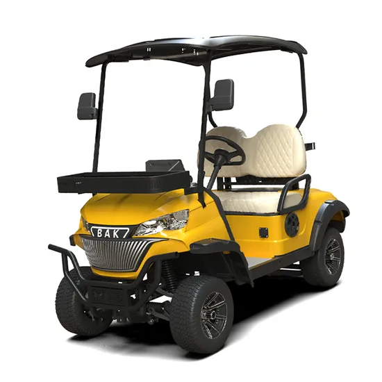 Top Speed Electric Golf Cart Two-Seater Buggy Model K-C2 Golf Buggy Cart