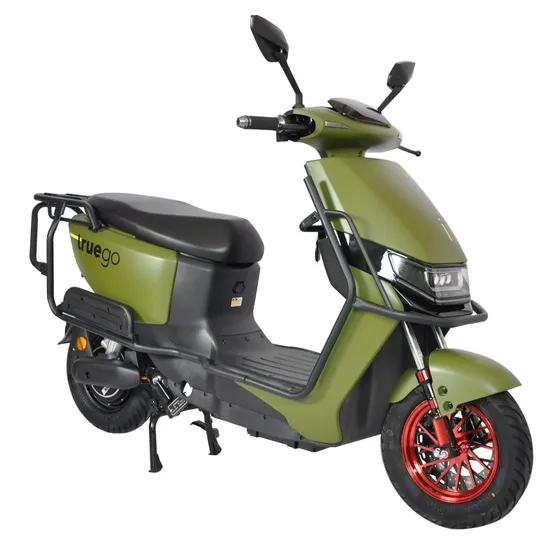 Wuxi Yologo 1000W 60V Hot Selling Electric Scooter with OEM