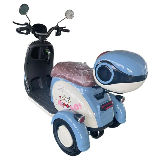Best Electric Scooter Electric Motorbike 800W Lead-Acid Battery 60V Electric Motorcycle