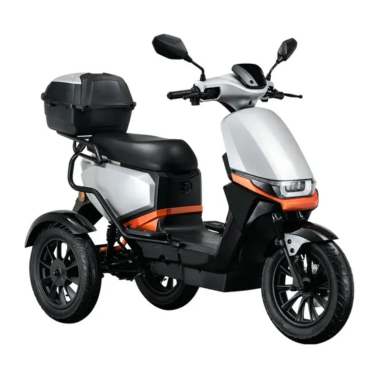 Best 3 Wheel Motorcycle for Cargo Adult Bike Passenger Handicapped Cheap Three Wheels Adults Electric Tricycle Motorbike Motorcycle