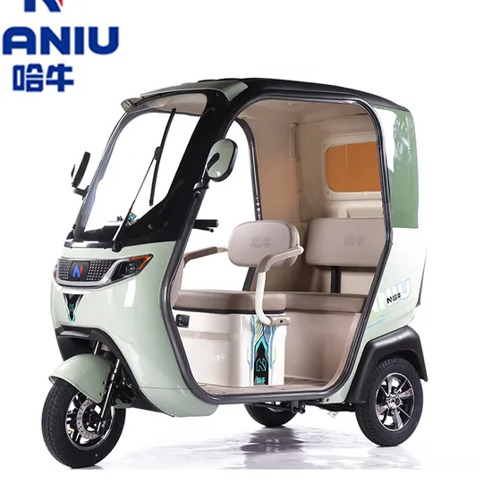 Electric Tricycle for Adults E-Trike/Motorcycle/Vehicle