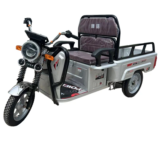 China Tricycle Scooter Small Freight Tricycle Electric Tricycle Passenger Car Electric Freight Tric Electric Tricycle in China for Cargo Transport with 60V Powe