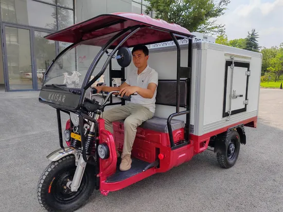 Advanced Electric Van Truck with Refrigeration for Cold Transport-Hpx20
