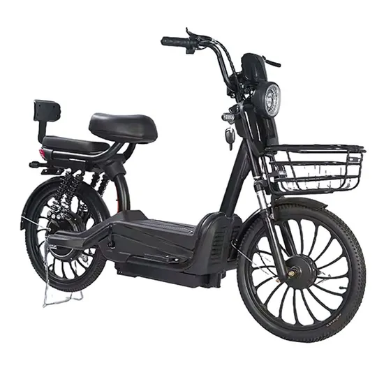 Cheap Family 2 Wheel MID Drive Long Tail Ebike Electric Bicycle for Food Delivery Adult