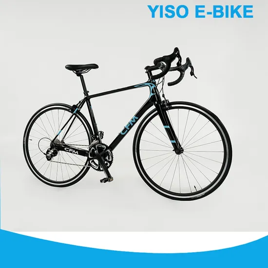 Carbon Fiber Mountain E Bike for off Road