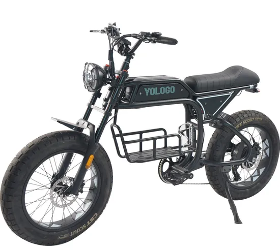 Fat Ebike High Performance Cruiser Offroad Minimoto Pedalec Electric Bike