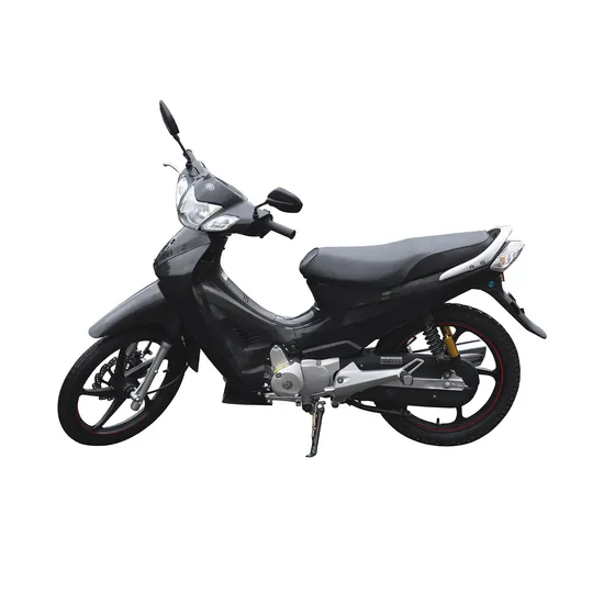 Jianshe Js125-3, Underbone/Cub Bike/Moped, Engine Displacement 110cc-125cc, Chongqing Factory Manufacturing, Low Price, High Quality