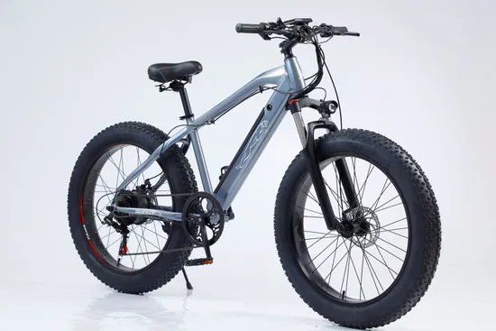 Cheap Factory Sale Lithium Battery Aluminum Frame Electric Bicycle