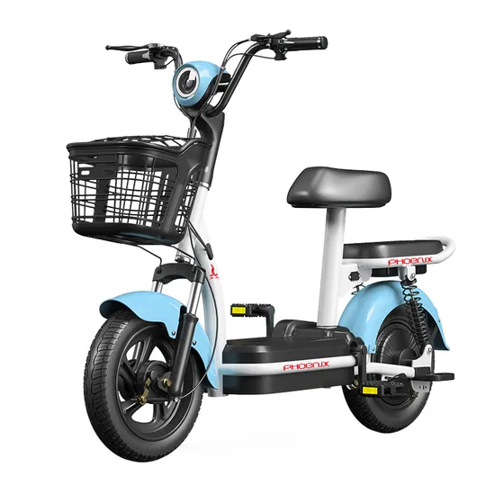 350W 500W 48V 25ah 30ah City Commuting Electric Bike Home Electric Bikes 2 Seats Adult Electric Bike