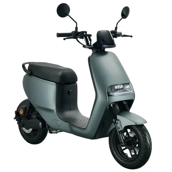 EEC EU Warehouse 800W Electric Scooter Electrical Motorcycle for Wholesale