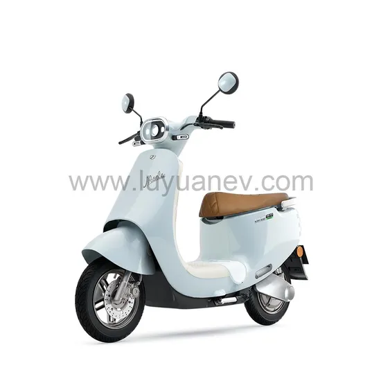 Electric Motorcycle MQQ6 Plus Lead acid/Graphene 800W 42-44km/h