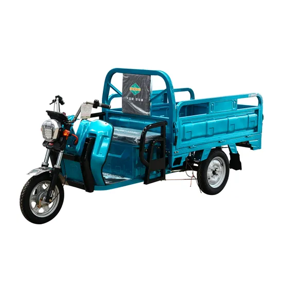Heavy-Duty Electric Tricycle for Cargo with Superior Performance