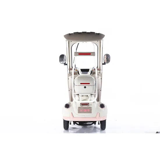 Electric Car with Proof 3 Wheel Bike E-Tricycle for Disabled