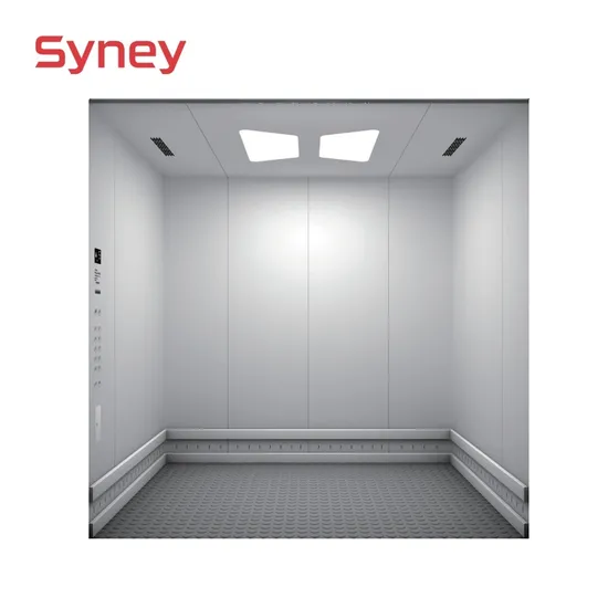 China Passenger Panoramic Glass Residential Villa Home Hospital Cargo Auto Car Service Freight Goods Elevator Lift