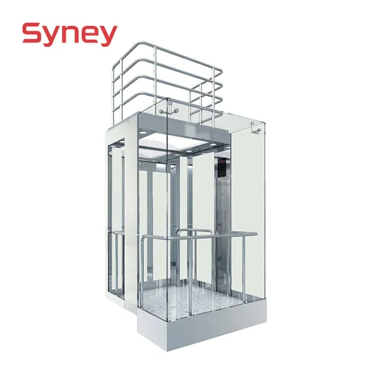 China Manufacture Wholesale Price Passenger Home Glass Elevator for Center Market