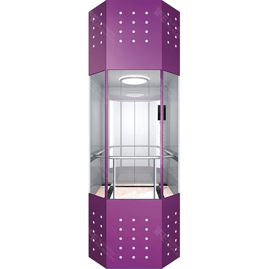 Hige Quality Cheap Buildingeyes Elevators of Ife