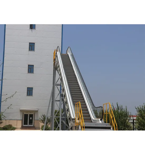 Escalator with LED Lighting System Save and Create Energy Environmental Friendly Excellent Quality