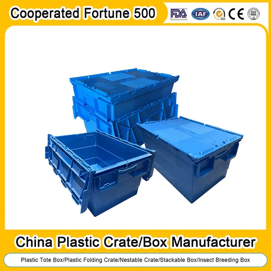 Plastic Crate Manufacturer Stackable Tote Folding Nestable Storage Collapsible Bale Arm EU Logistic Mesh Crate for Beer/Bread/Milk/Moving/Turnover/Agriculture