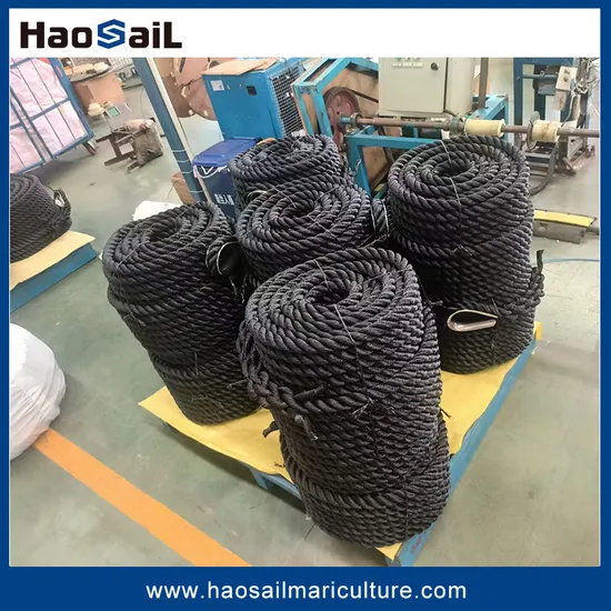 High Quality Boat UV Resistant 3/4/6/8/12 Strands PE/ PP/ Polyster/ Nylon/ Synthetic Fiber Nylon Braided Rope for Mooring and Towing
