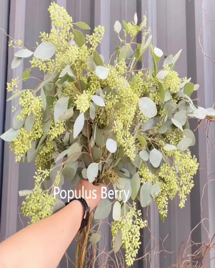 Eucalyptus Decoration Planning Fresh Cut Leaves Bouquet with Grass Base Wholesale