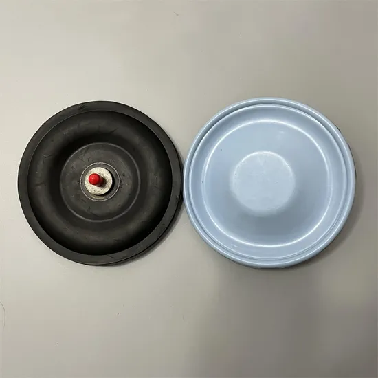 Pump Vacuum Equipment Parts PTFE EPDM Diaphragm for Dosing Pump