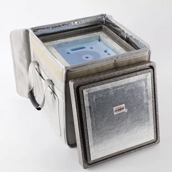 VIP Cold Chain Box for Outdoor Food/ Medicine/Ice Cream