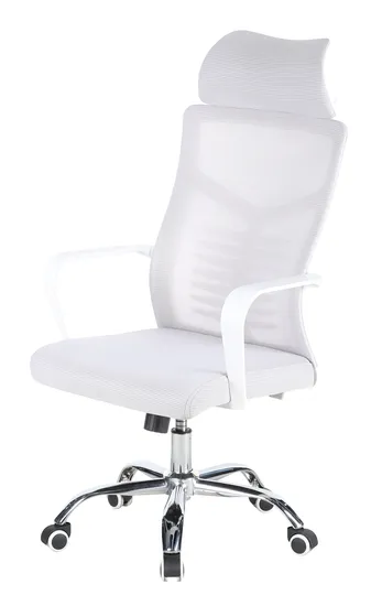 Clients Professional Swivel Rocking Office Class Chairs