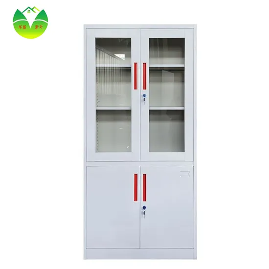China Factory Metal File Cabinet /Bookcase/Locker High Quality Support Customization