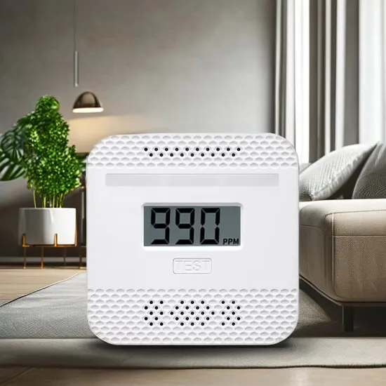New Arrival Mini Portable Household and Car Co Carbon Monoxide Alarm Detector