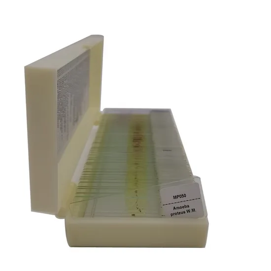 High Quality 50 Kinds Set Medical Parasitology Prepared Slides for Educational Teaching