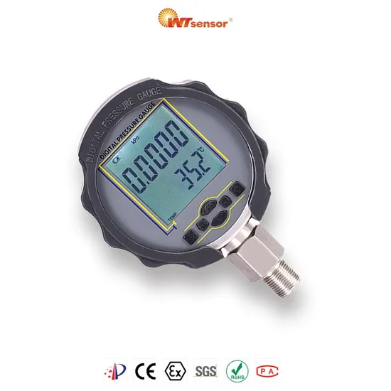Durable 100MPa Hydraulic Pressure Gauge with M20*1.5 Connector