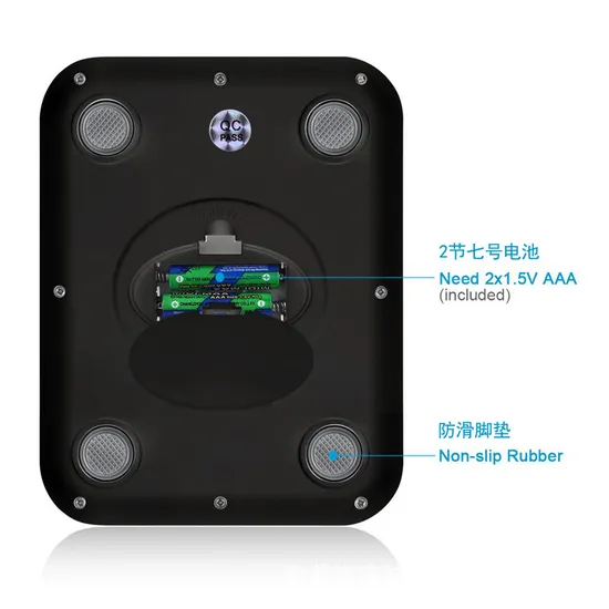 Digital Display High Precise Bench Scale Smart Food Scale