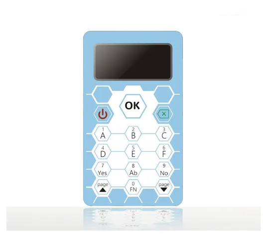 Interactive Classroom Voting System