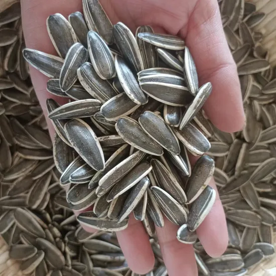 New Crop 361 363 Sunflower Seeds